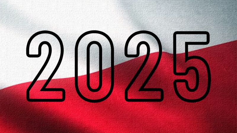 2025 rok w polskich grach w pigułce